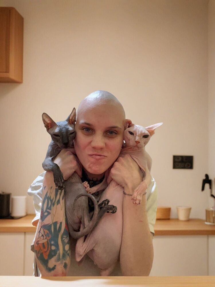 ���� 55173180 ������� ���������, 26 ���, ���� ���������� � ����������