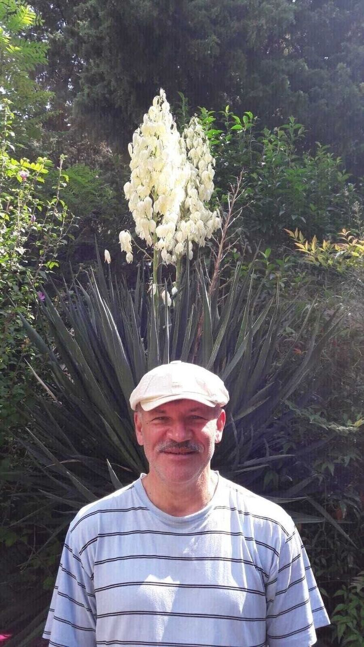 ���� 54516770 ������� ����, 63 ����, ���� ���������� � �����-����������