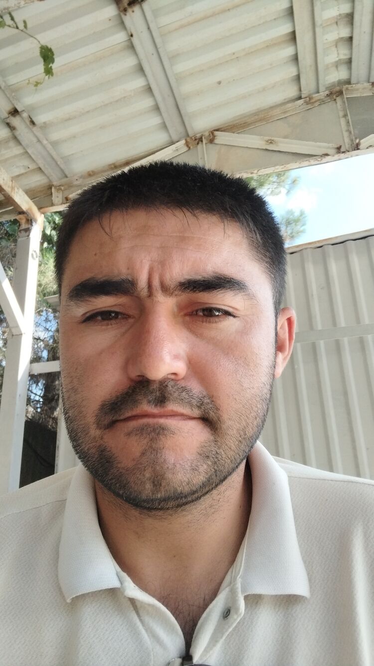 ���� 44526090 ������� ������, 34 ����, ���� ���������� � ��������