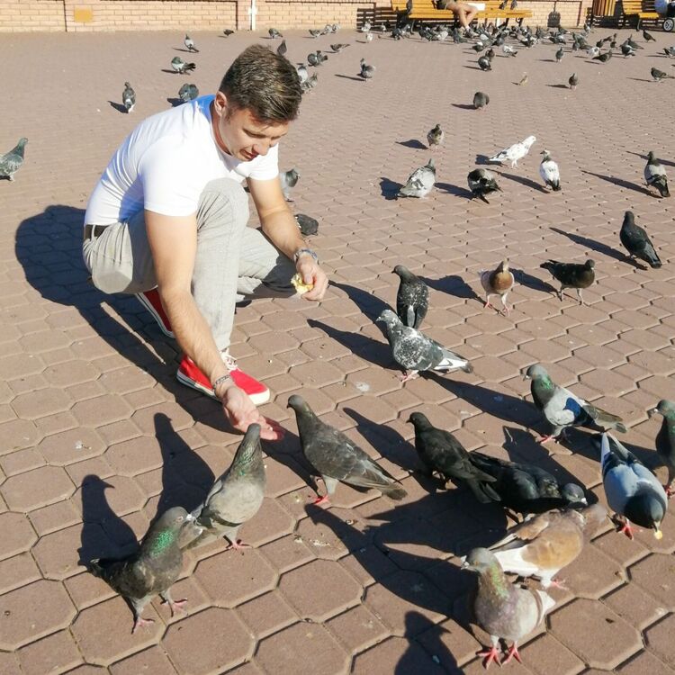  ,   , 38 ,   ,   