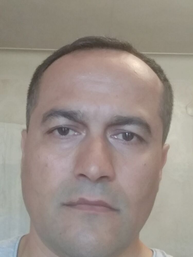 ���������� ����, ���� ������� Zaur, 48 ���, ������������ ��� ������, ����� � ���������