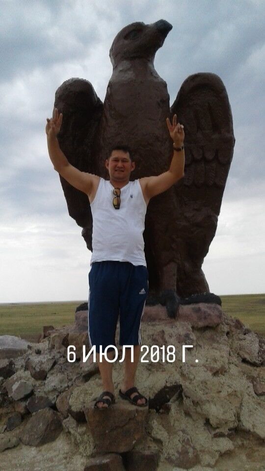  19004650  , 49 ,    