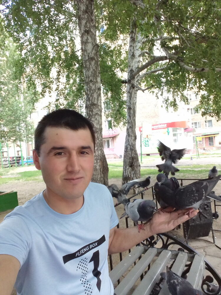 ���������� ����, ���� ������� �������, 37 ���, ������������ ��� ���������