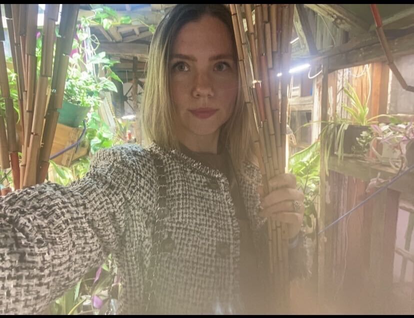 ���������� ������, ���� ������� ������, 36 ���, ������������ ��� ������, ����� � ���������, c�������� ���������, ���������