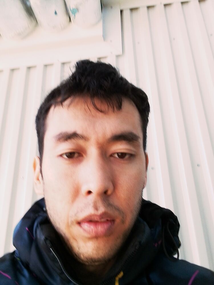  33231700  , 33 ,    