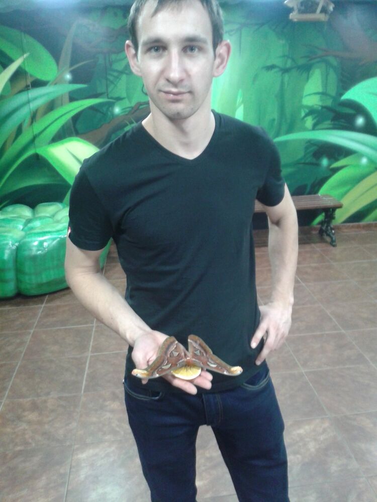 ���������� ������, ���� ������� �����, 33 ����, ������������ ��� ������, ����� � ���������, c�������� ���������