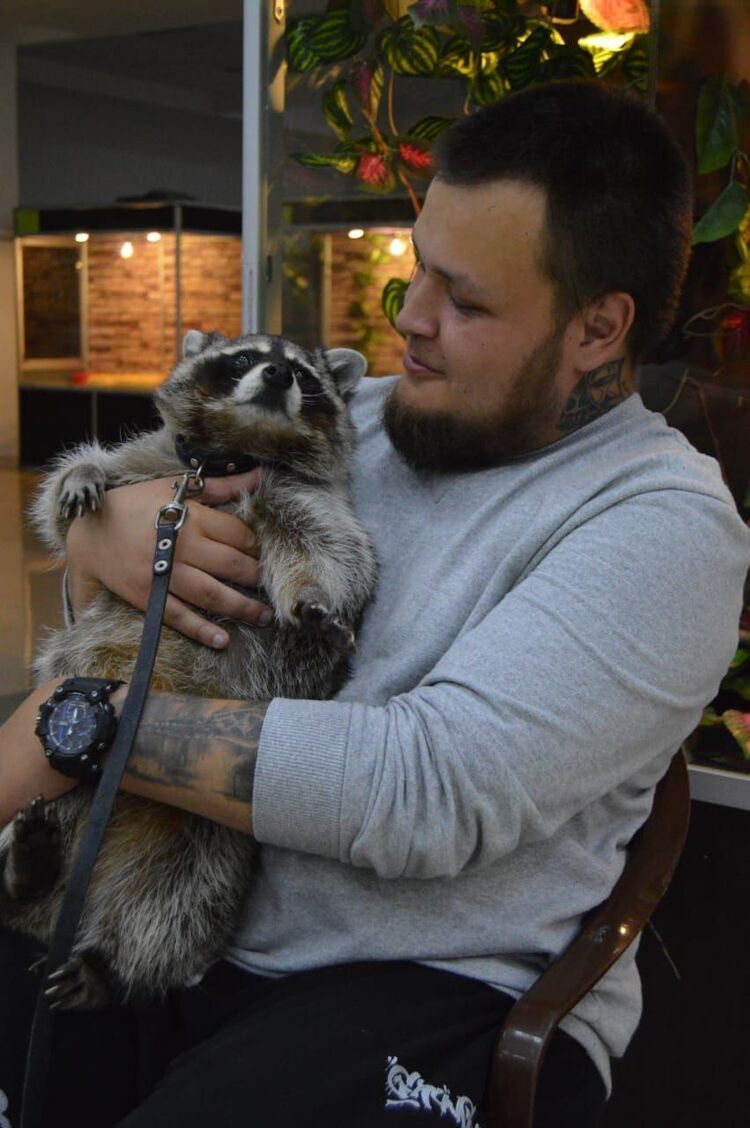 ���������� ������, ���� ������� �����, 30 ���, ������������ ��� ������, ����� � ���������, c�������� ���������