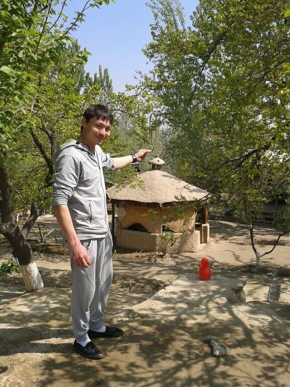  ,   Amir, 33 ,     , c 