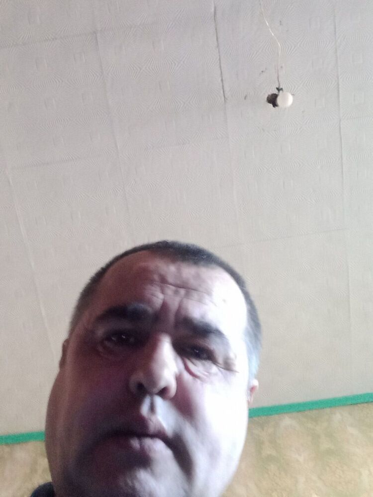  29215600  , 50 ,    