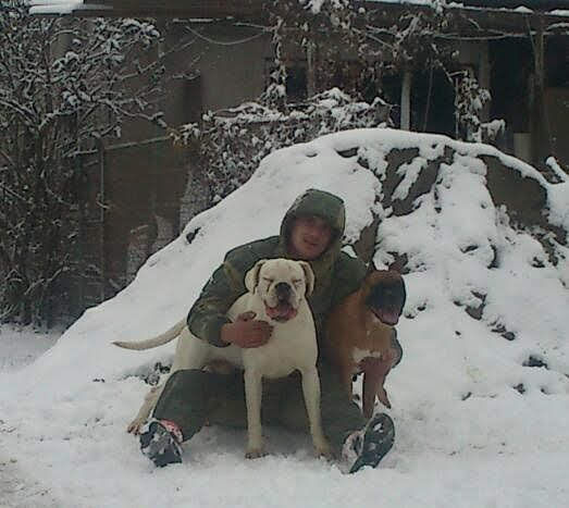 ���� 35081820 ������� ������, 42 ����, ���� ���������� � ����������