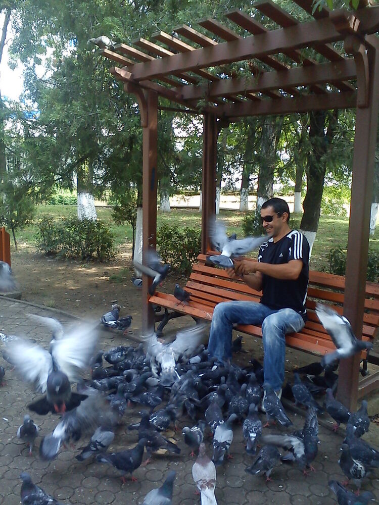 ���������� ���������, ���� ������� �����, 47 ���, ������������ ��� ����� � ���������, c�������� ���������