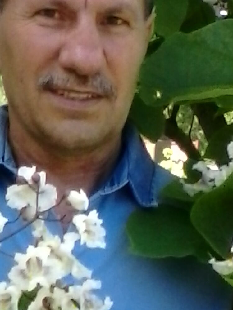  ,   , 66 ,   c 