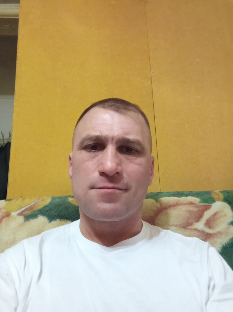  43352830  , 44 ,    