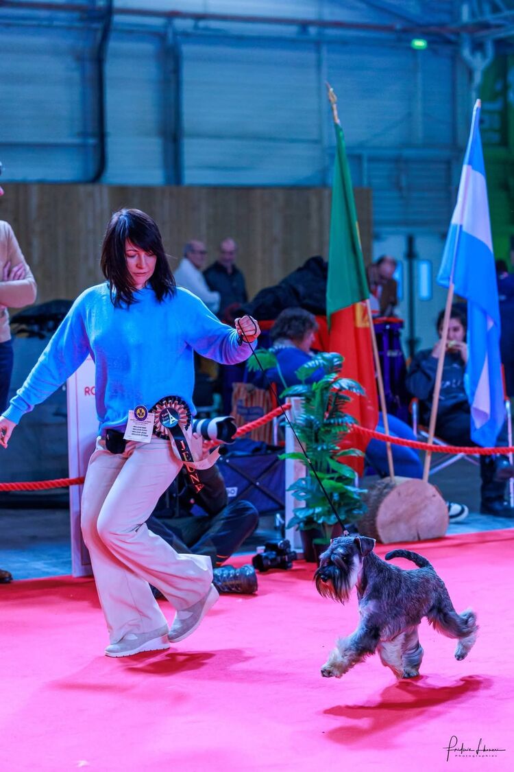 ���������� Etampes-sur-Marne, ���� ������� �������, 47 ���, ������������ ��� c�������� ���������