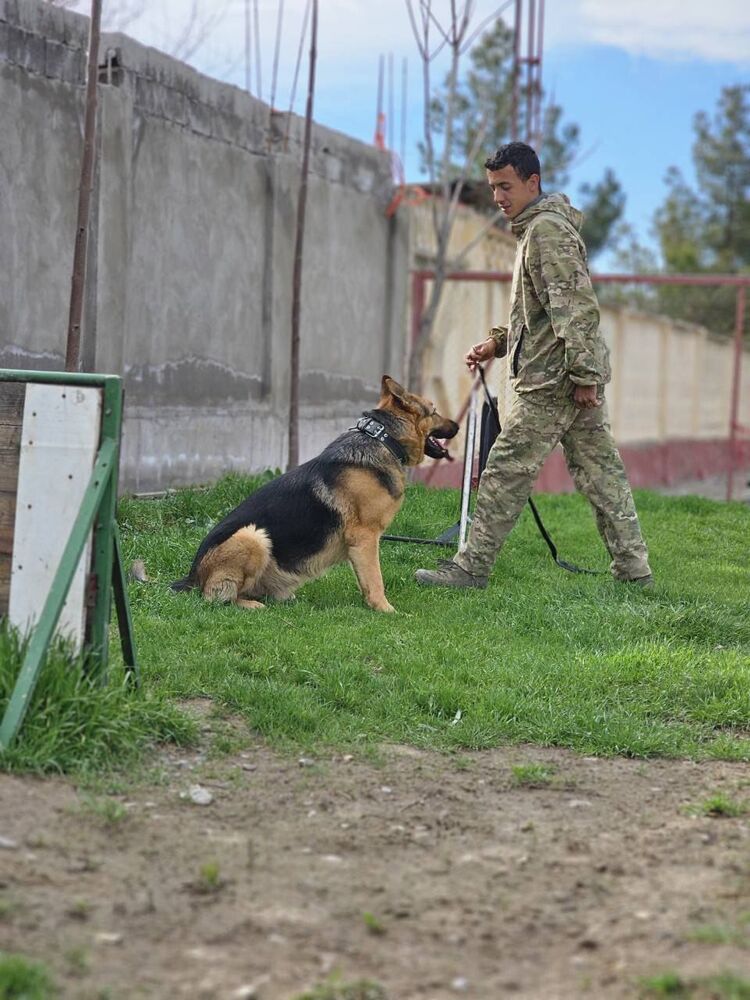 ���������� �������, ���� ����� �������, 22 ����, ������������ ��� ������, ����� � ���������, c�������� ���������, ���������