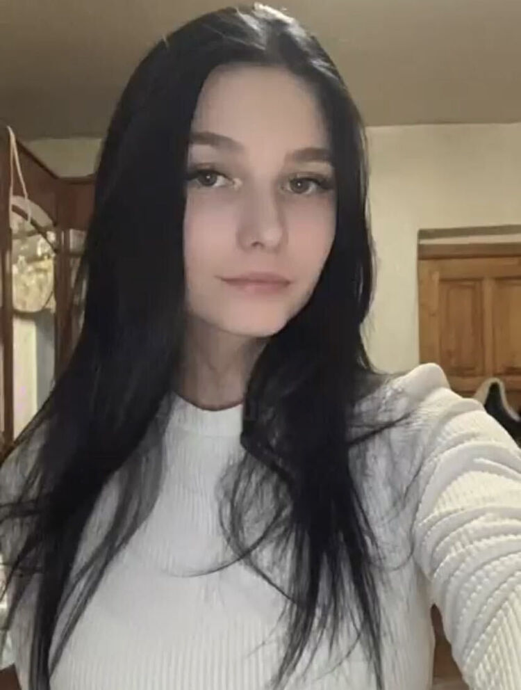  29106460  , 24 ,    