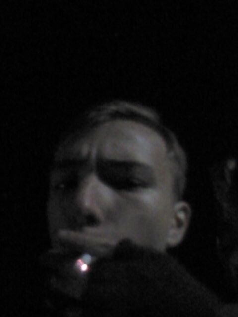 ���� 10831350 ������� Serito, 26 ���, ���� ���������� � �����-����������