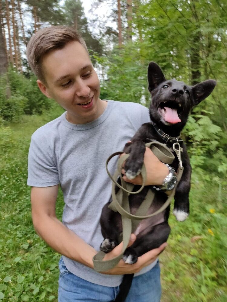 ���������� ������ ��������, ���� ������� ����, 30 ���, ������������ ��� ������, ����� � ���������, c�������� ���������