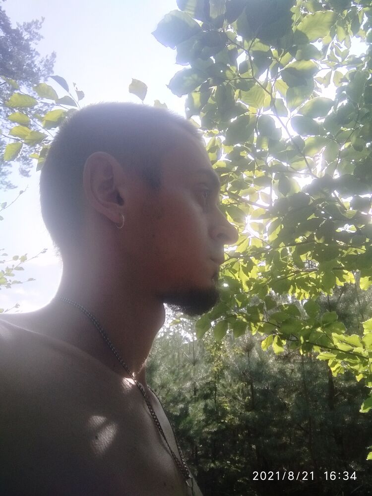  Bochnia,   Slaventiy, 36 ,   ,   , c , 