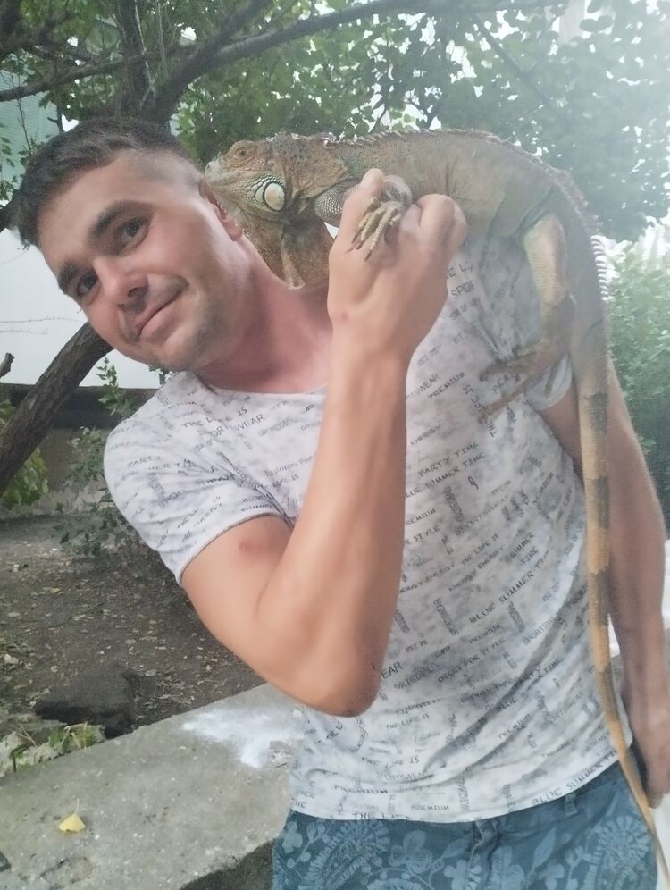  31825980  , 41 ,    