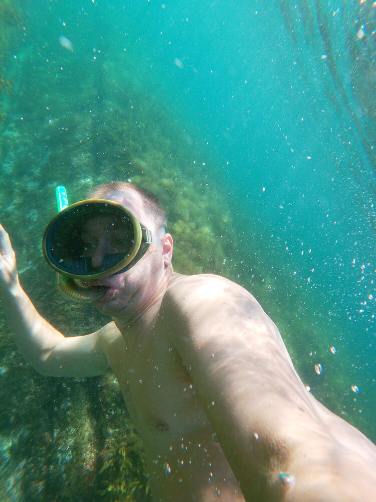 ���������� �����������, ���� ������� ������, 40 ���, ������������ ��� ������, ����� � ���������