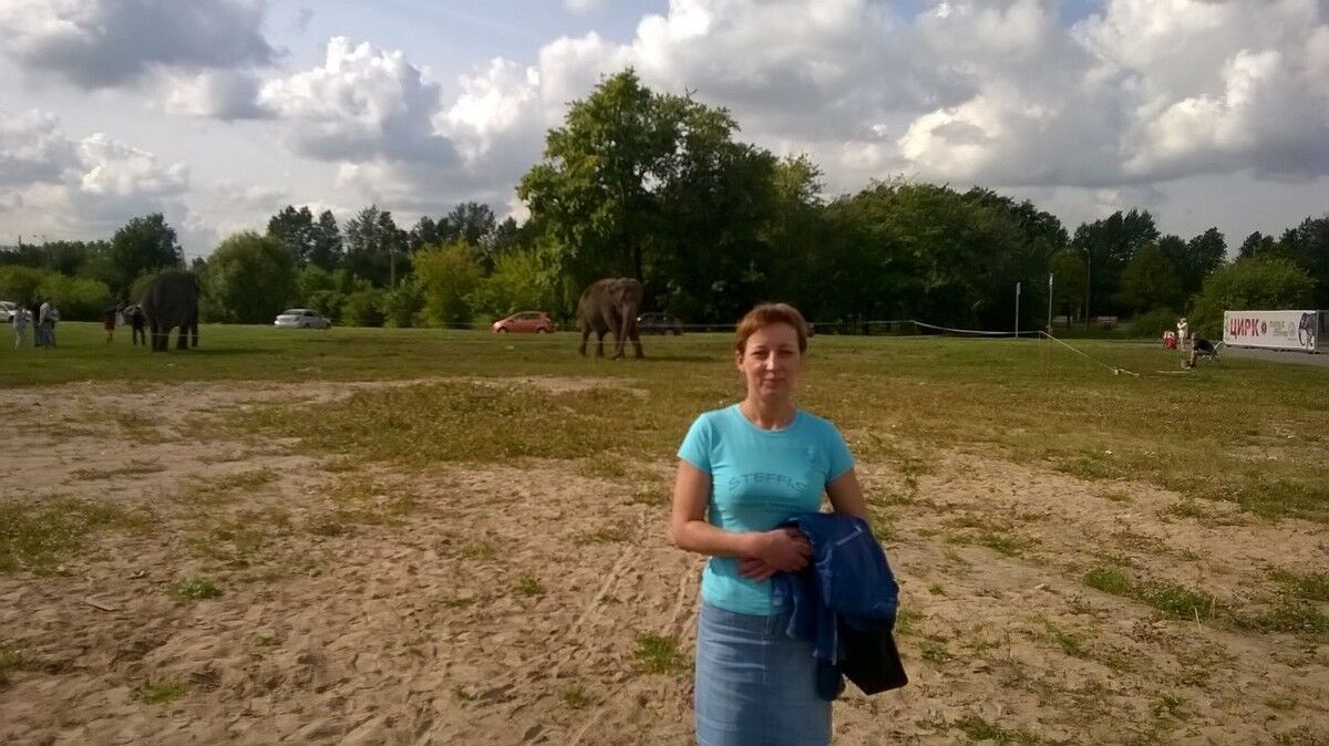 ���������� �����-���������, ���� ������� ������, 50 ���, ������������ ��� ������, ����� � ���������, c�������� ���������