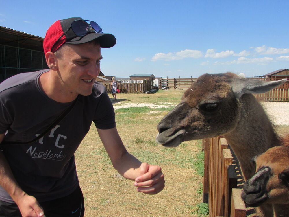 ���������� ����, ���� ������� ��������, 35 ���, ������������ ��� ������, ����� � ���������, c�������� ���������