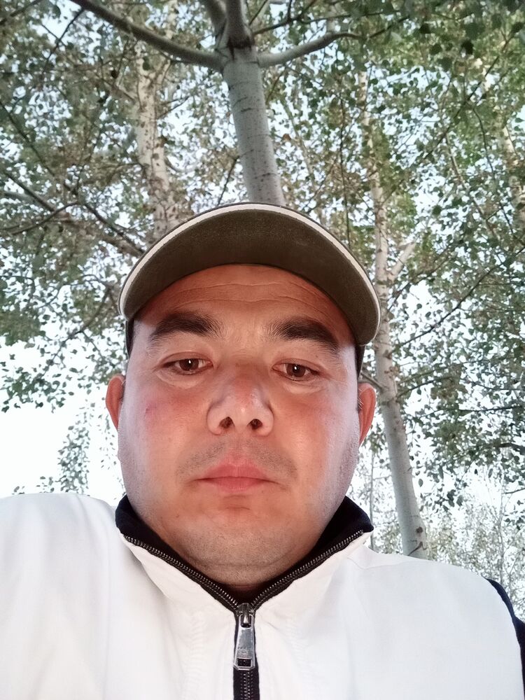  48995380  , 41 ,    