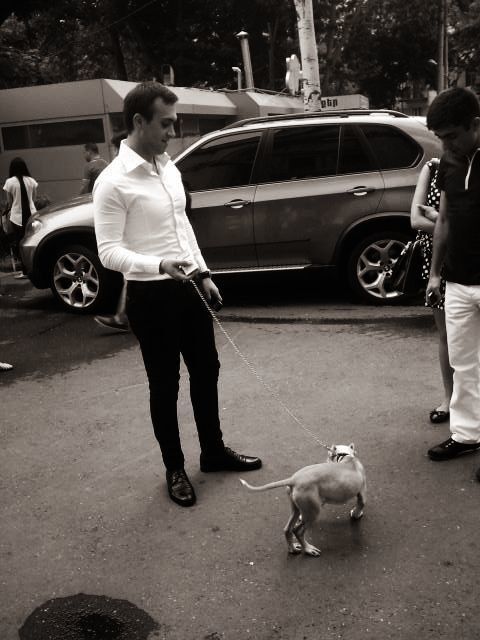 ���������� ������, ���� ������� Saqo, 36 ���, ������������ ��� ������