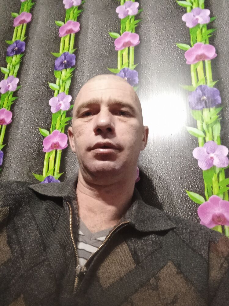  45049540  , 38 ,    