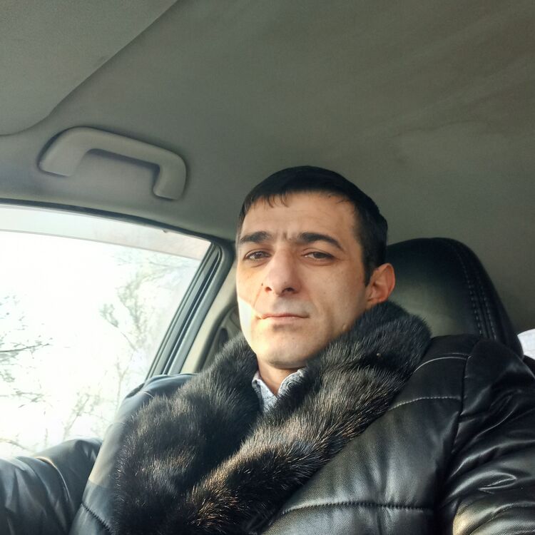  45480050  , 41 ,    