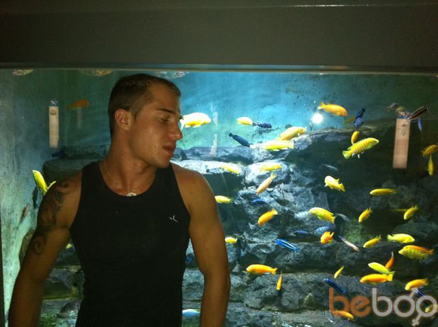 ���������� ������, ���� ������� Dima22, 40 ���, ������������ ��� ����� � ���������, c�������� ���������