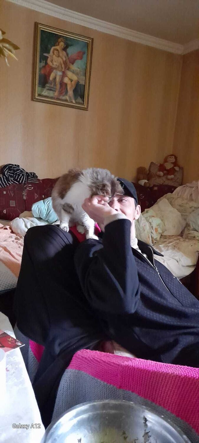 ���������� ����, ���� ������� ��������, 37 ���, ������������ ��� ������, ����� � ���������, c�������� ���������, ���������