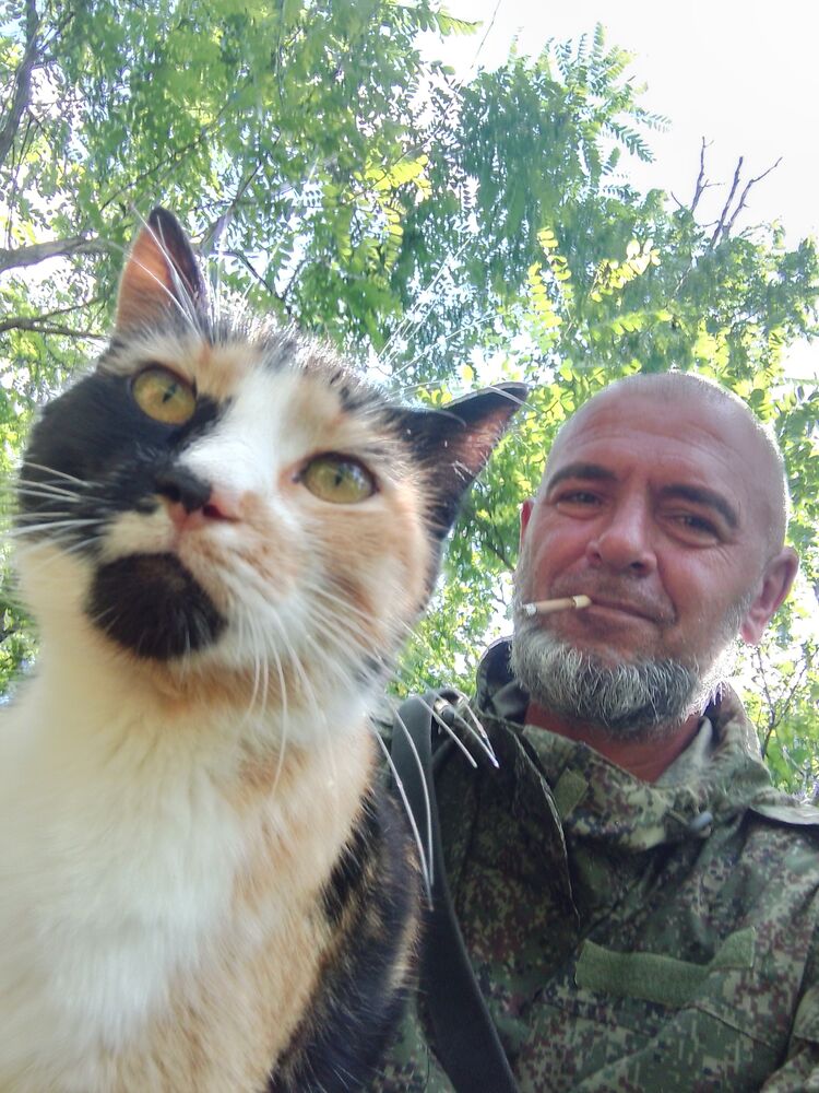  53713460  , 49 ,    -