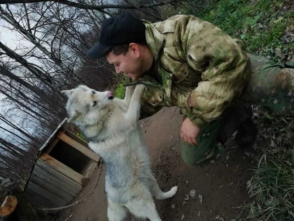 ���� 56056410 ������� ������, 34 ����, ���� ���������� � ���