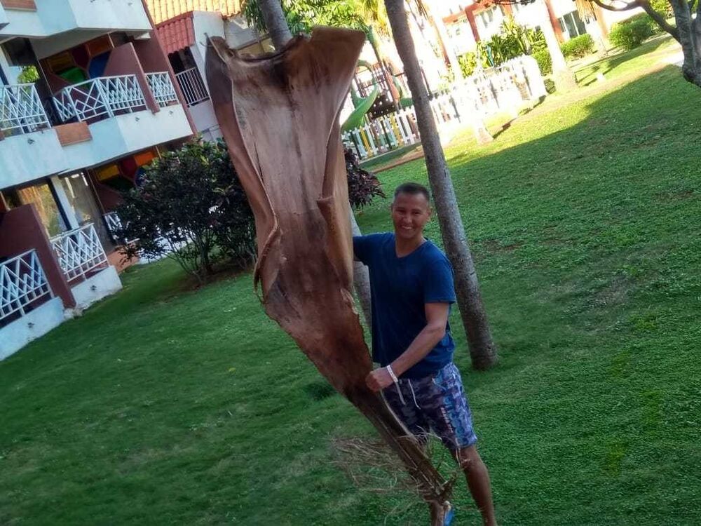 ���� 16224770 ������� ������, 43 ����, ���� ���������� � �������-��-����