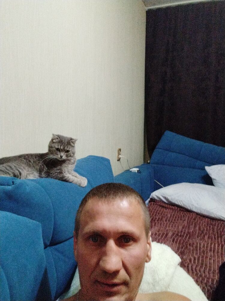  46280390  , 43 ,    