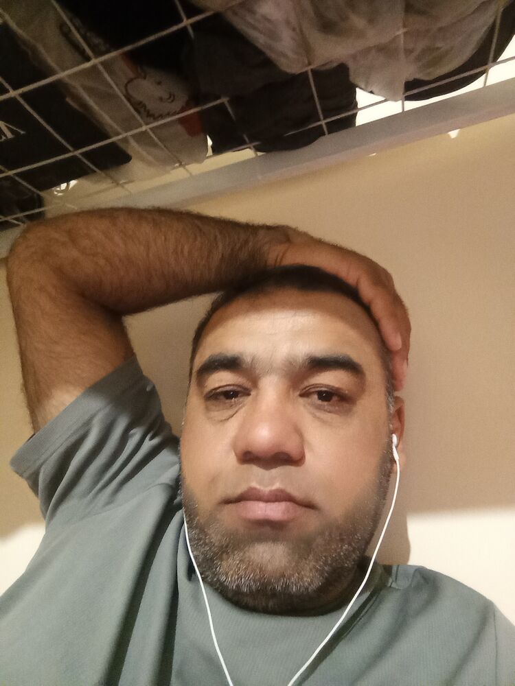 ���� 51332900 ������� Saityddlh, 41 ���, ���� ���������� � ��������������