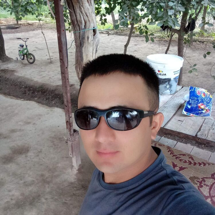  40827380  , 28 ,    -
