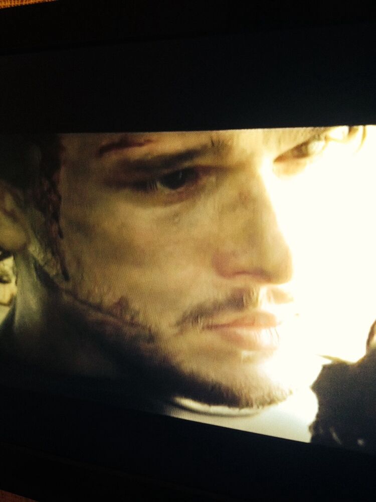 ���� 4994350 ������� �������, 44 ����, ���� ���������� � ����������