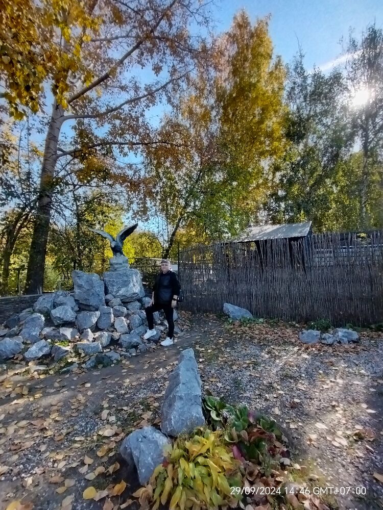  46920530  , 36 ,    