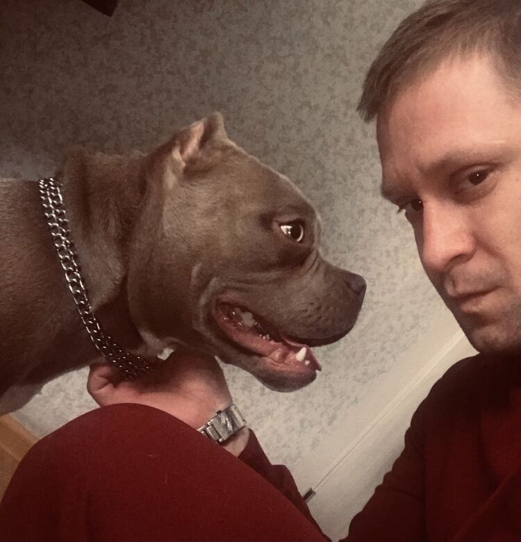 ���������� ������, ���� ������� ������, 38 ���, ������������ ��� ������, ����� � ���������, c�������� ���������