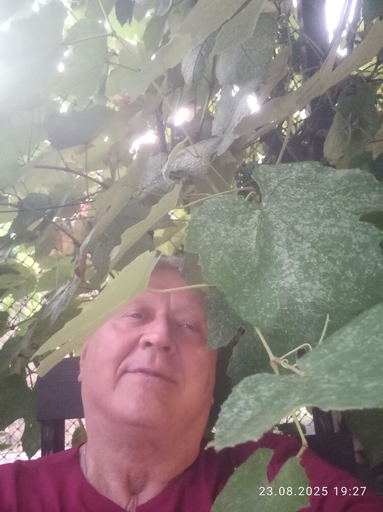  53672690  Sergei, 70 ,    