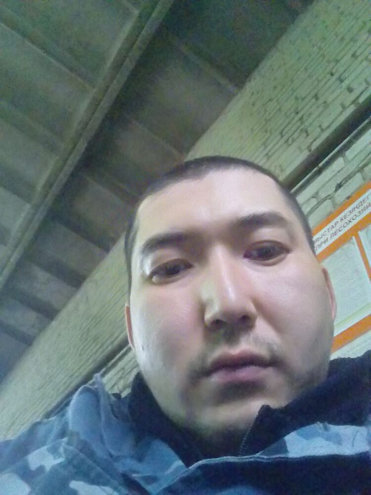 ���� 24252020 ������� �����, 36 ���, ���� ���������� � �����