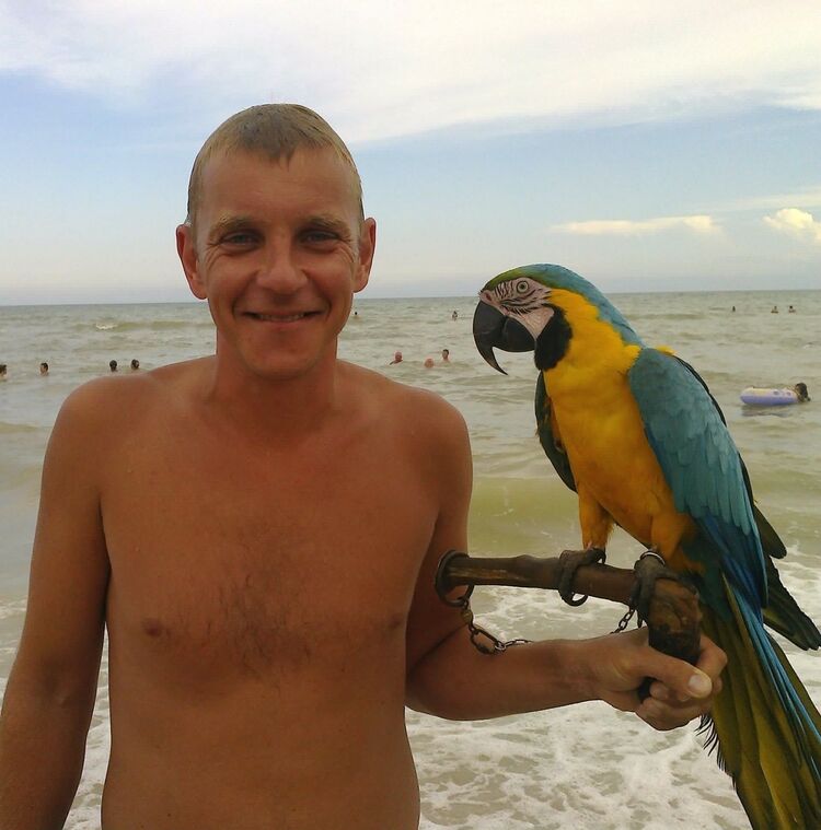  ,   , 44 ,   