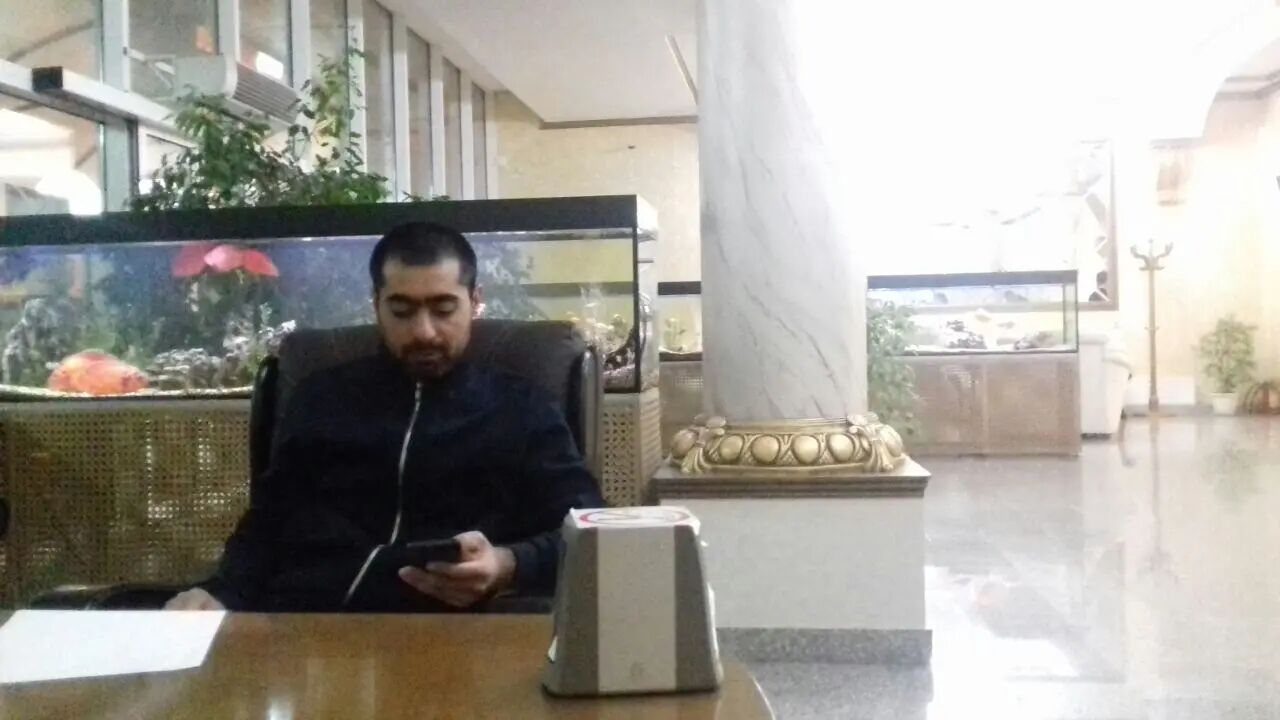  53518590  , 31 ,    