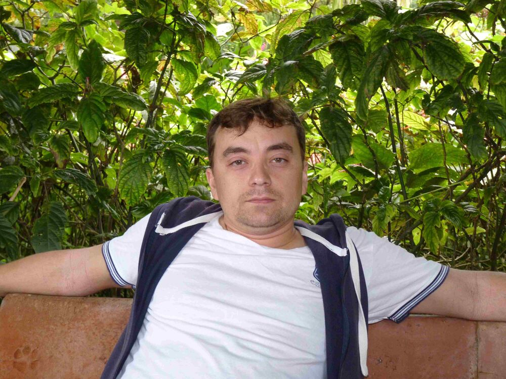  38550550  , 49 ,    -