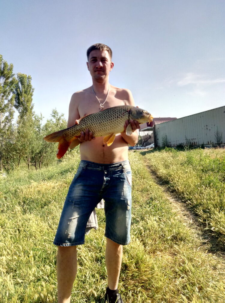  ,   , 38 ,   