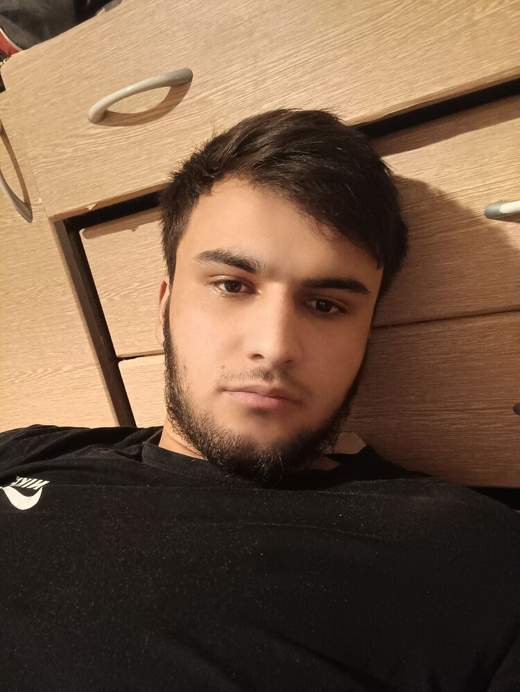  34431900  , 29 ,    