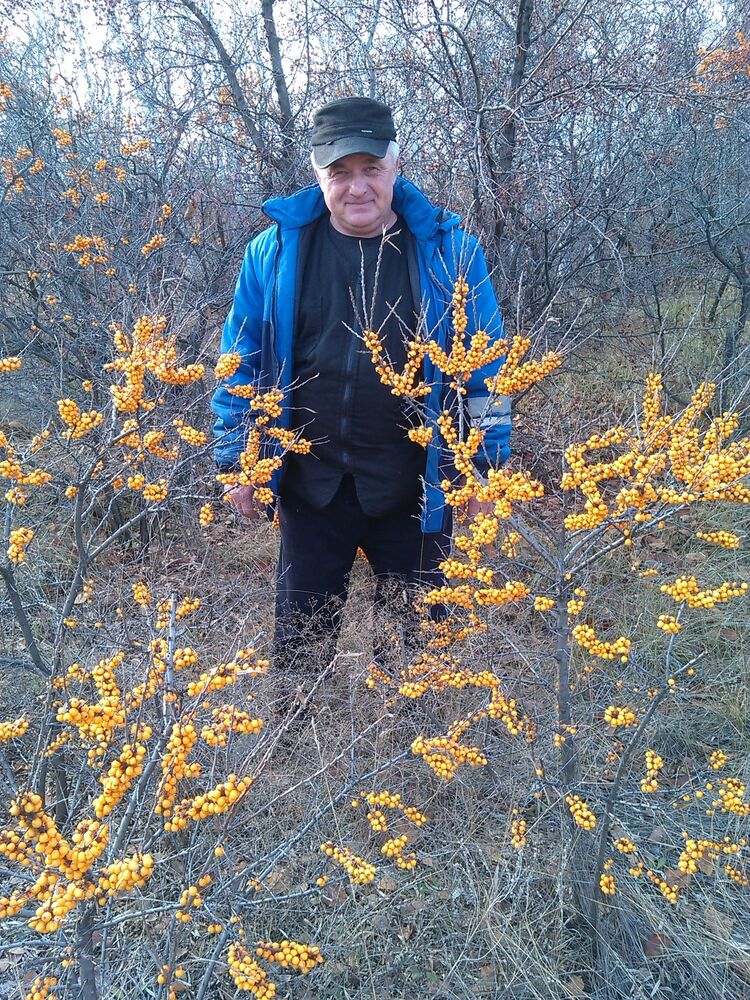 ���� 55625860 ������� ������, 60 ���, ���� ���������� � �����